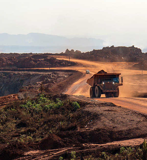 Environmental Impact Assessment (EIA)